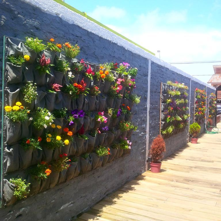 Del Barcito Hostel And Suites Punta del Este Luaran gambar
